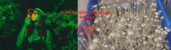 эйфоретик Кодинск