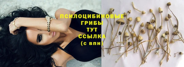 эйфоретик Кодинск