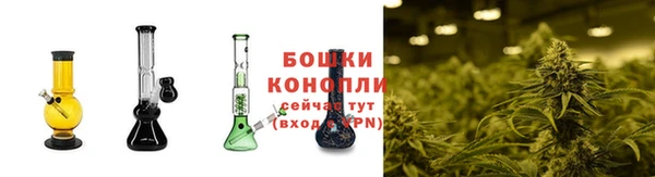 эйфоретик Кодинск